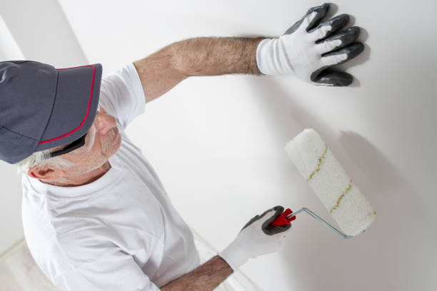 Best Residential Mold Inspection & Testing  in Paia, HI