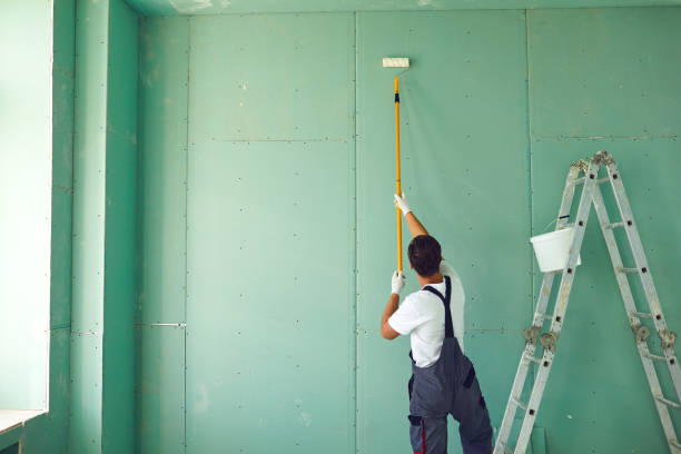Best Mold Removal for HVAC Installations  in Paia, HI