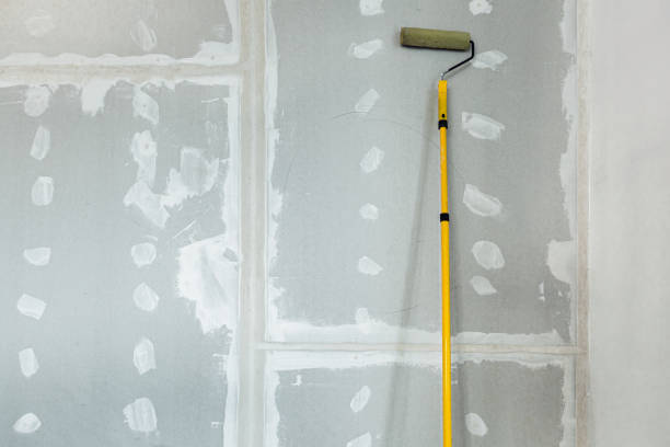 Best Commercial Mold Inspection  in Paia, HI