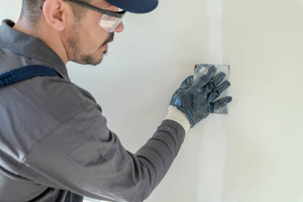 Best Mold Prevention Services  in Paia, HI