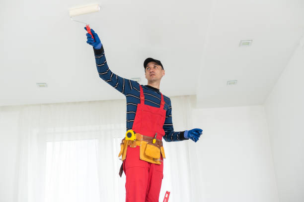 Best Crawl Space Mold Remediation  in Paia, HI