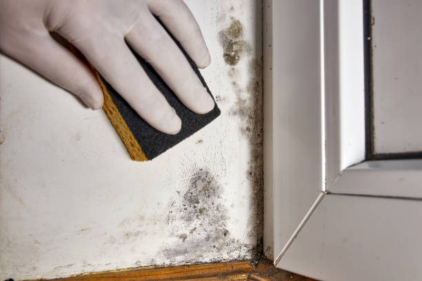 Best Indoor Air Quality Assessment  in Paia, HI