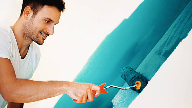 Best Black Mold Removal  in Paia, HI