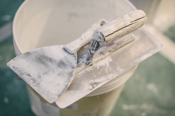 Best Emergency Mold Remediation  in Paia, HI