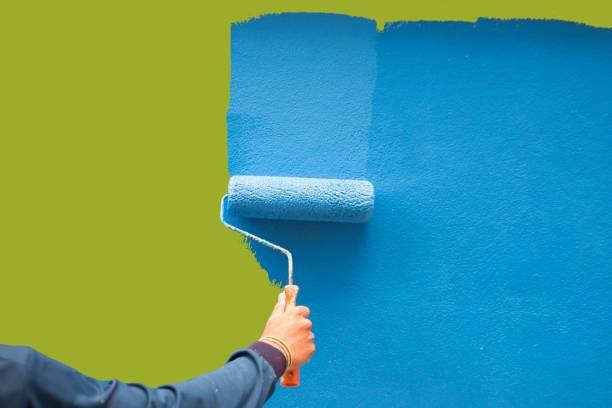 Reliable Paia, HI Mold Removal Solutions